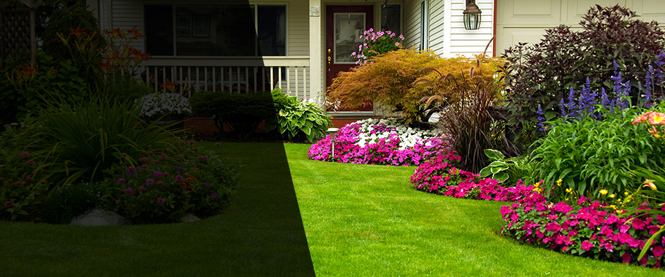 Cumming Landscapers