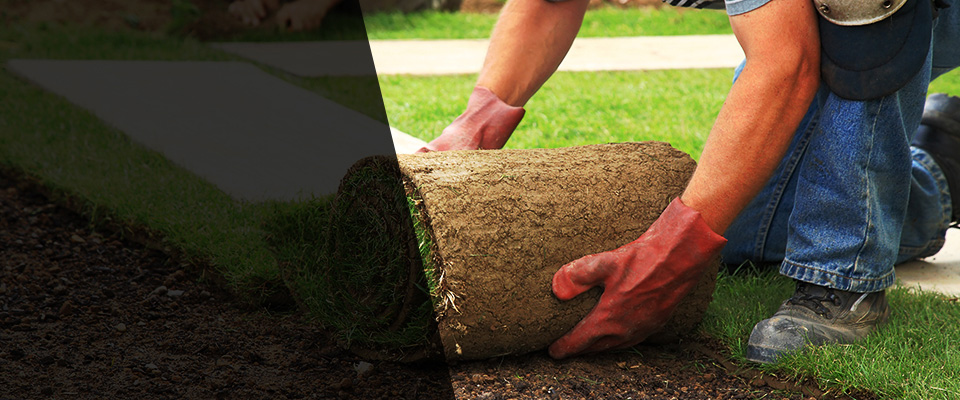 Cumming Landscapers
